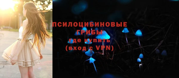 тгк Бронницы
