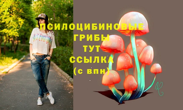 хмурый Бугульма